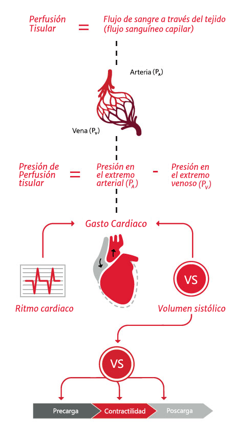 Gesti&oacute;n proactiva de los componentes de presi&oacute;n y flujo de la perfusi&oacute;n